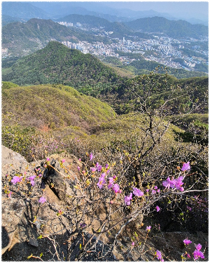 천마산