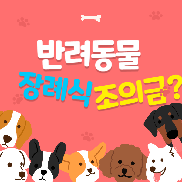 반려동물 장례식장