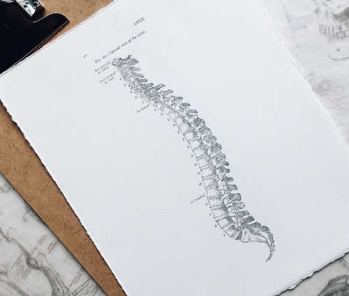 골반통증 엉덩이통증 허리통증