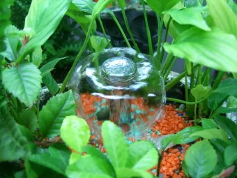 젖은수건 가습 활용 실내습도 유지 분무타이밍 잎끝마름 방지_7