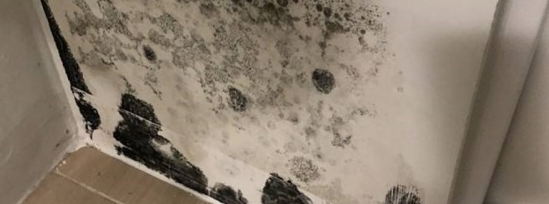 베란다 곰팡이제거제1