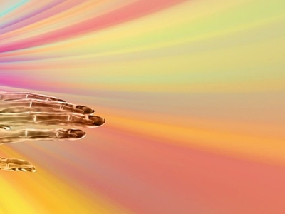 팽이버섯 사진6