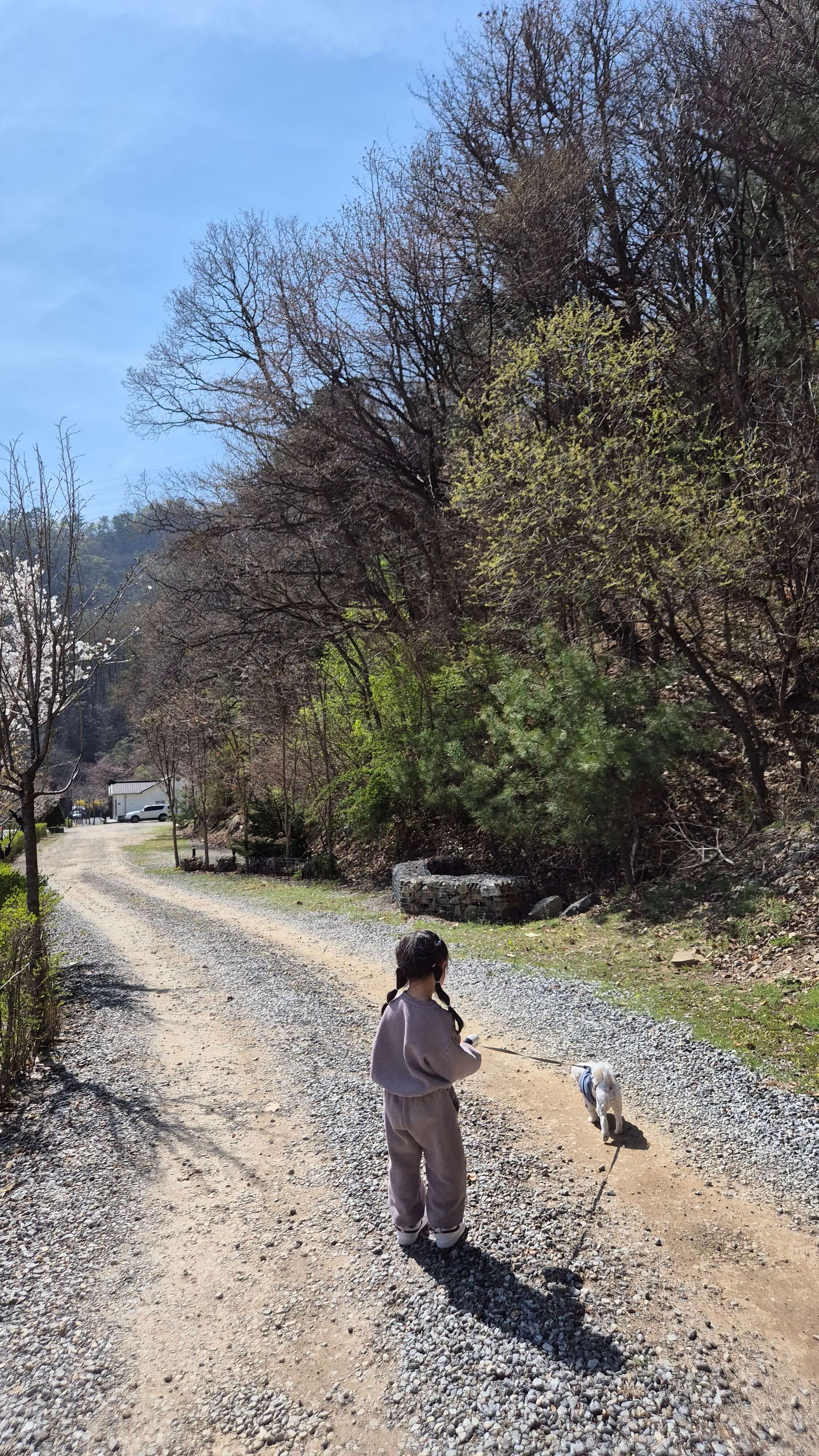 애견 동반 캠핑