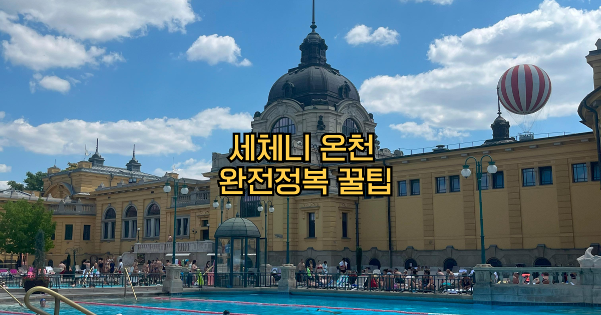 세체니온천 꿀팁