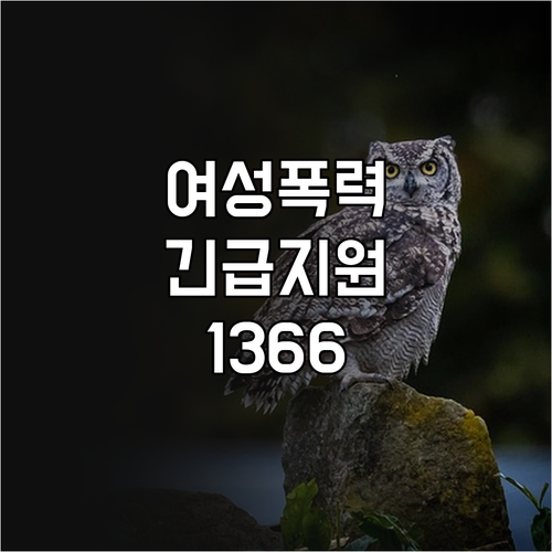 여성 폭력 긴급 지원, 2025 여성..