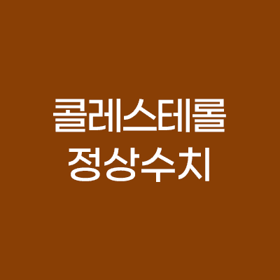 콜레스테롤 정상수치