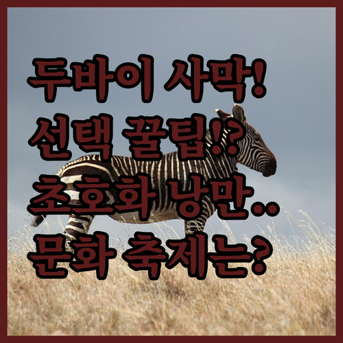 두바이 사막 캠프 선택 가이드 고요한..