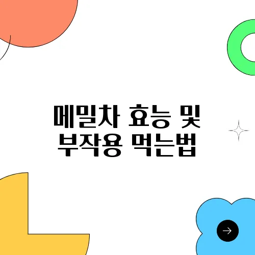 메밀차 효능 및 부작용 먹는법