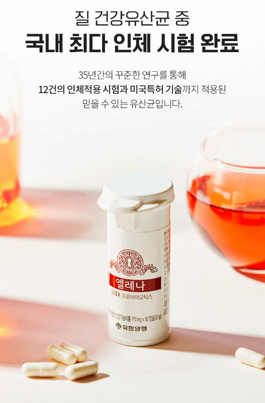 엘레나 90 특징