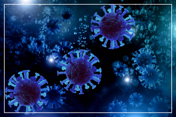 독감(인플루엔자) 예방접종