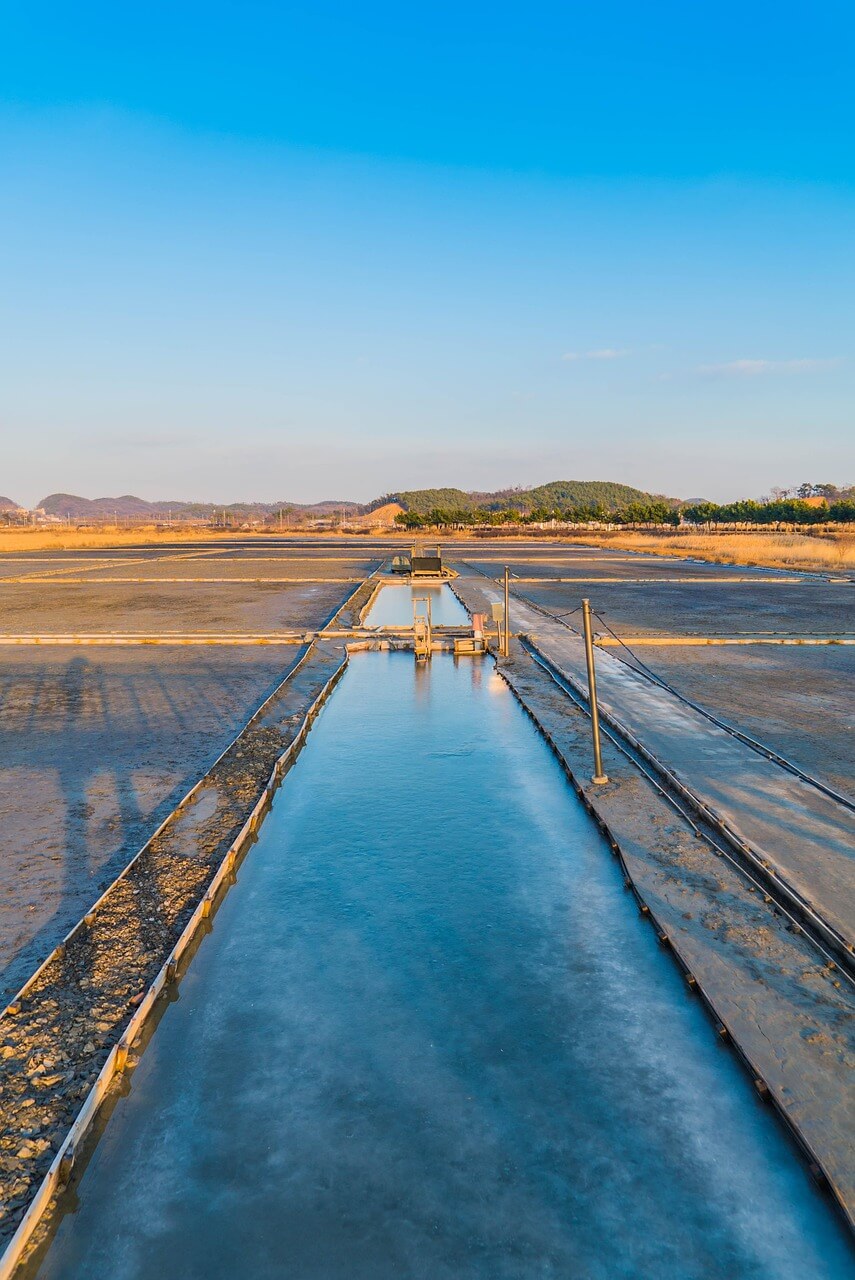 신안 섬함초축제와 염전, 자연이 빚어낸 소금과 건강한 먹거리
