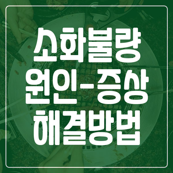 소화불량 원인 증상 해결 방법