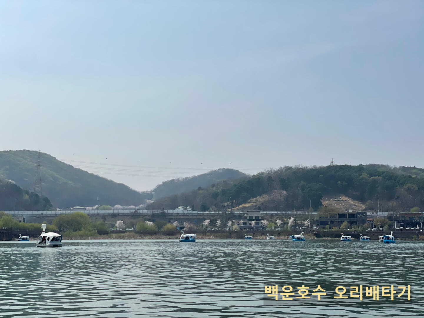 백운호수 보트장