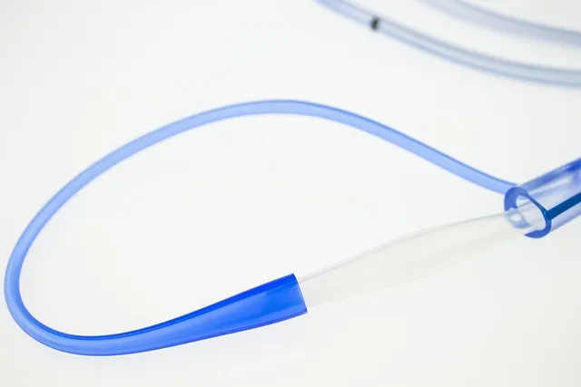 종묘사직 뜻 유래 역사_7