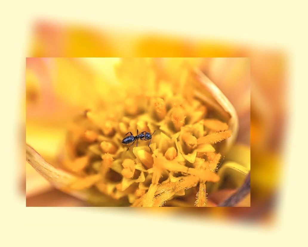 불면증 극복_2_subsection