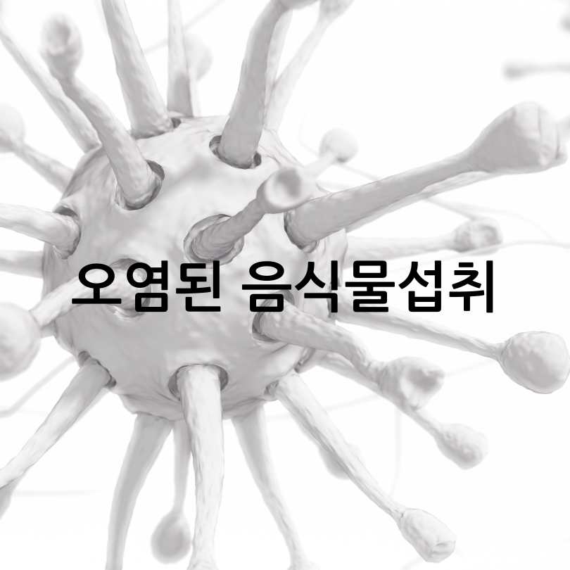 노로바이러스증상