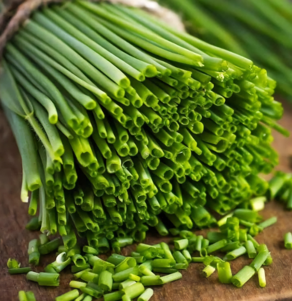 6월 제철음식, 부추