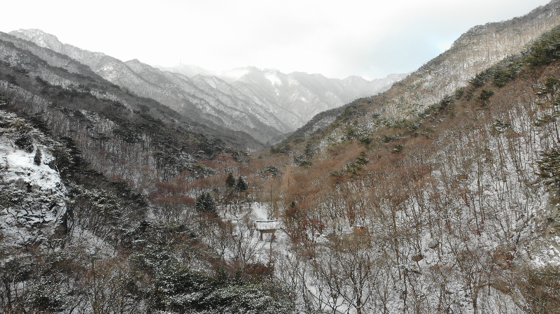 계룡산 설경