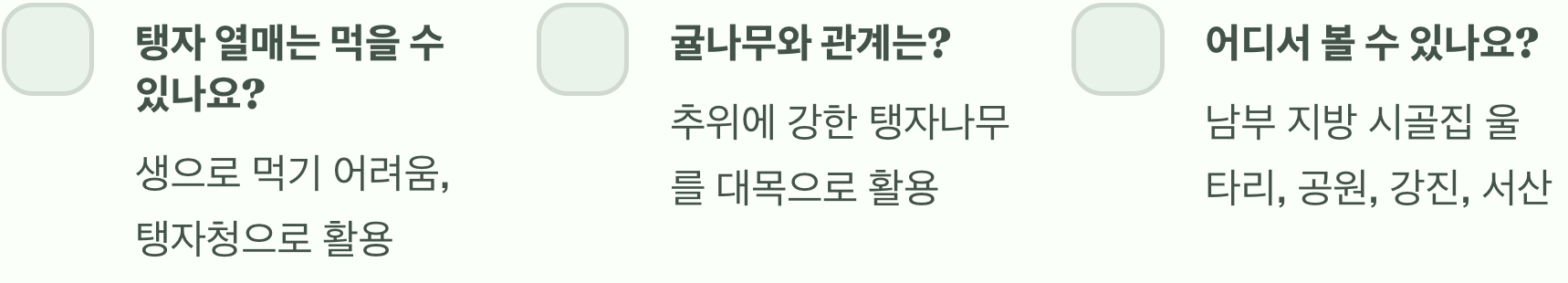 한눈에 알아보는 탱자나무의 모든 것 (가시, 잎, 꽃, 열매)