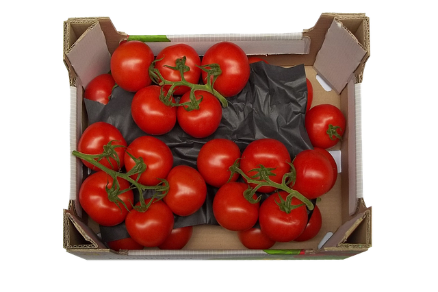 토마토 보관방법 꿀팁 8