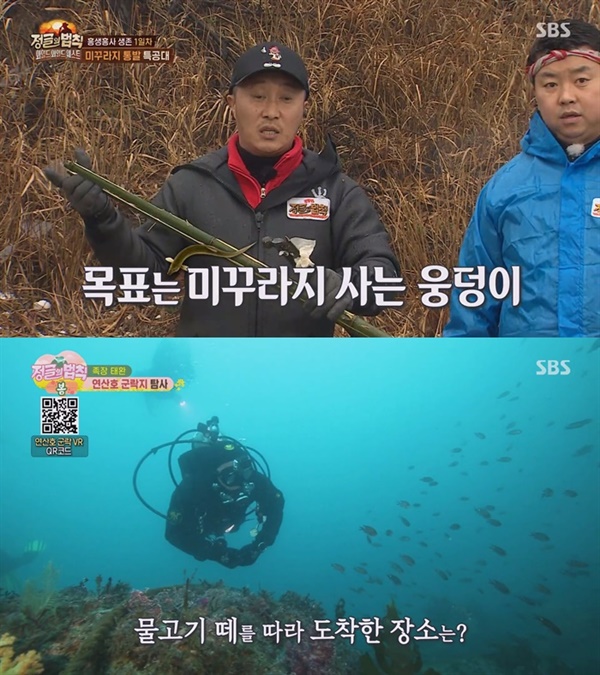 정글에-법칙