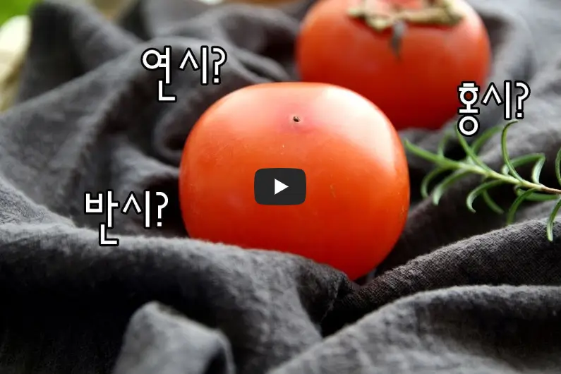 홍시 연시 반시 차이점