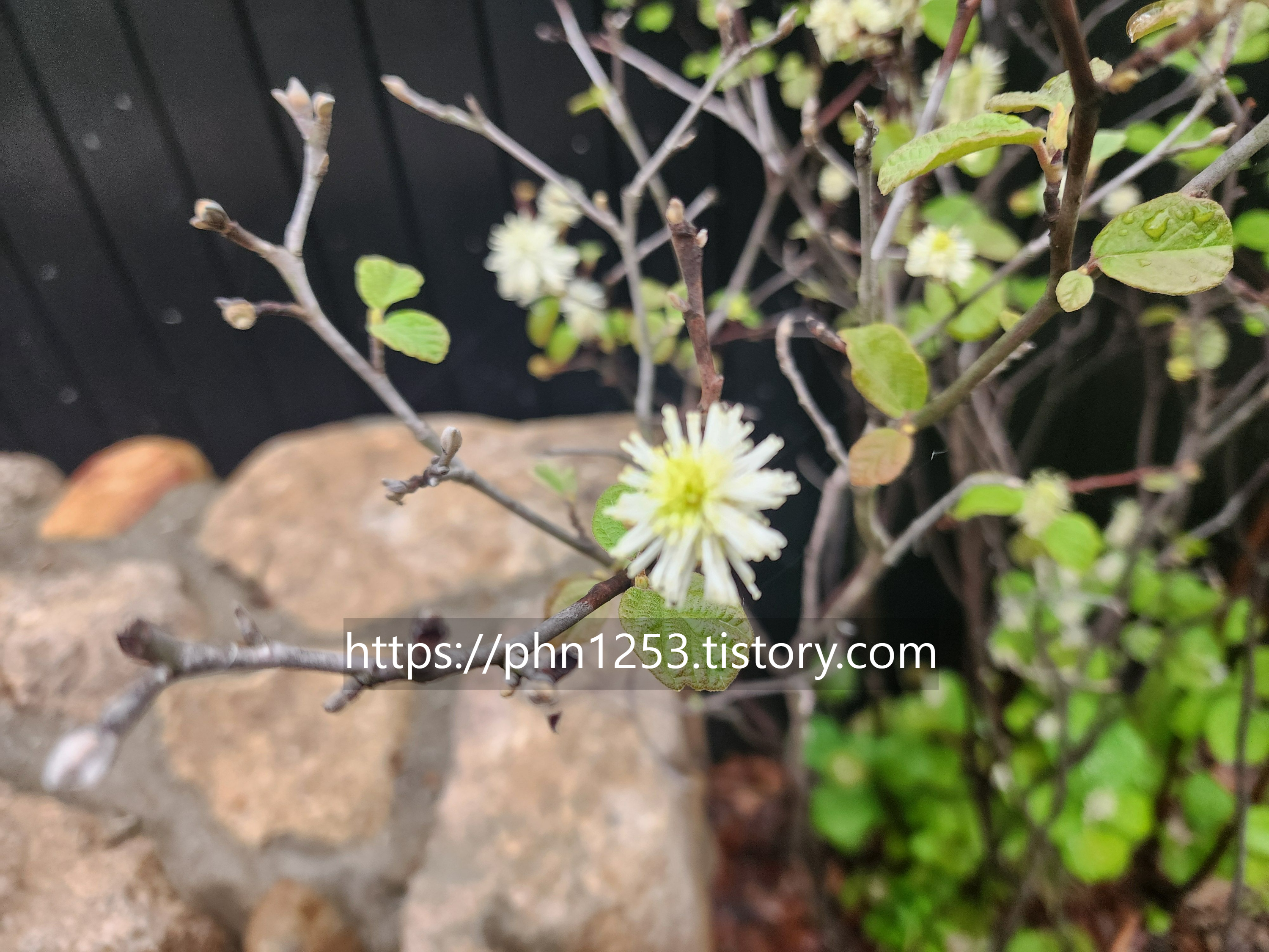 Alt 속성 문제 해결 설명 이미지