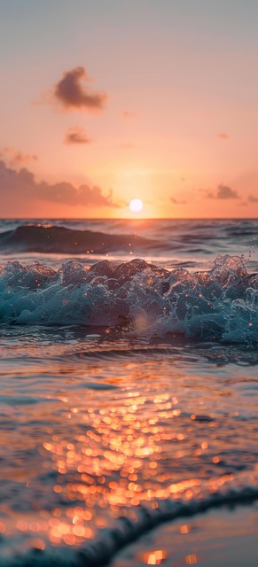 모르는전화번호확인스팸번호조회