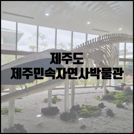 민속자연사박물관