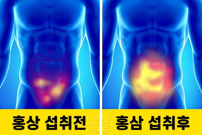 홍삼 효능 정력 홍삼 먹으면 안되는 사람 홍삼부작용