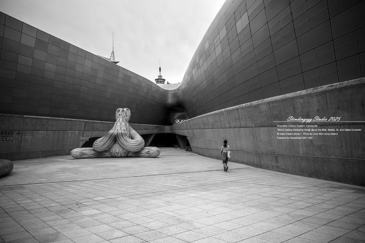 #서울 #동대문디자인플라자 #패션 #디자인 #DDP