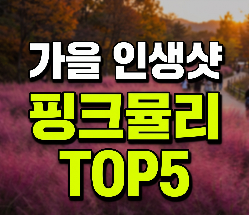 가을이 오면 꼭 가야 할 전국 핑크뮬리&middot;억새 명소 TOP 5 (주차 팁 &amp; 인생샷 스팟)