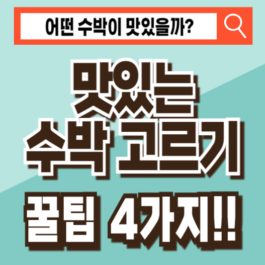 맛있는 수박 고르기 꿀팁