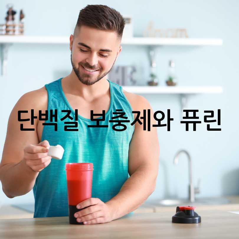통풍과단백질보충제관계