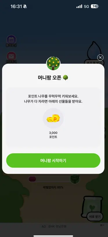 머니팜