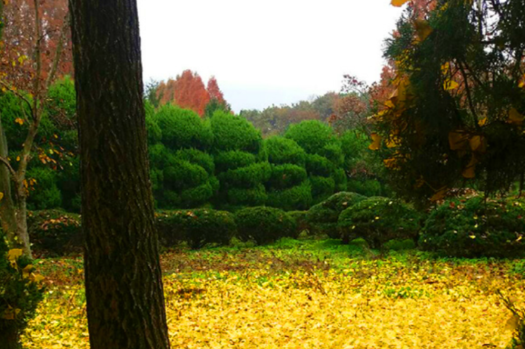 익산 아가페정원