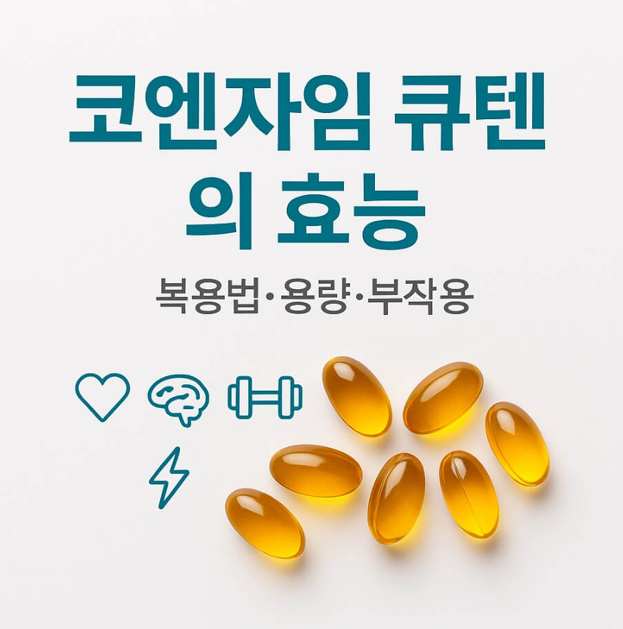 코엔자임 큐텐의 효능