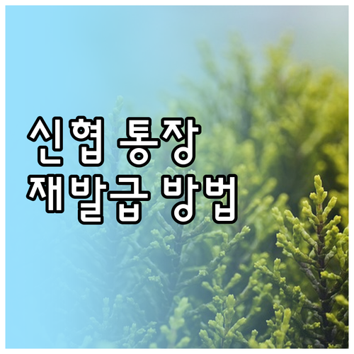 신협 통장 재발급 절차 완벽 분석 영..