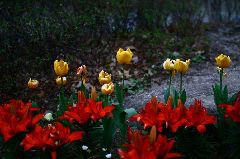 2025 덕수궁 &#39;밤의 석조전&#39; 티켓 예매(추첨제 로 진행)