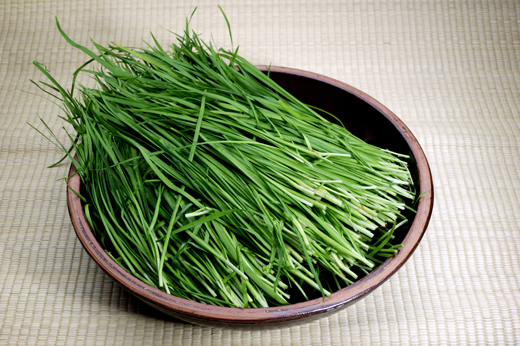 간에 좋은 음식 &amp;#39;부추&amp;#39;