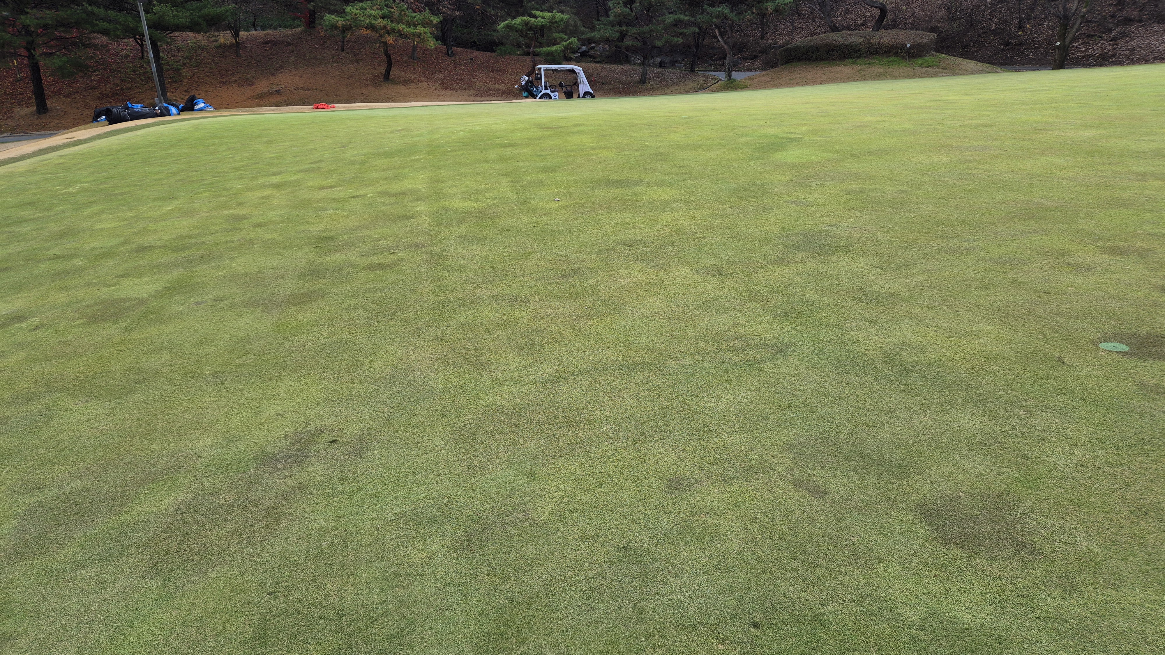 올데이 떼제베cc 가람-누리(서-남) 그린관리상태