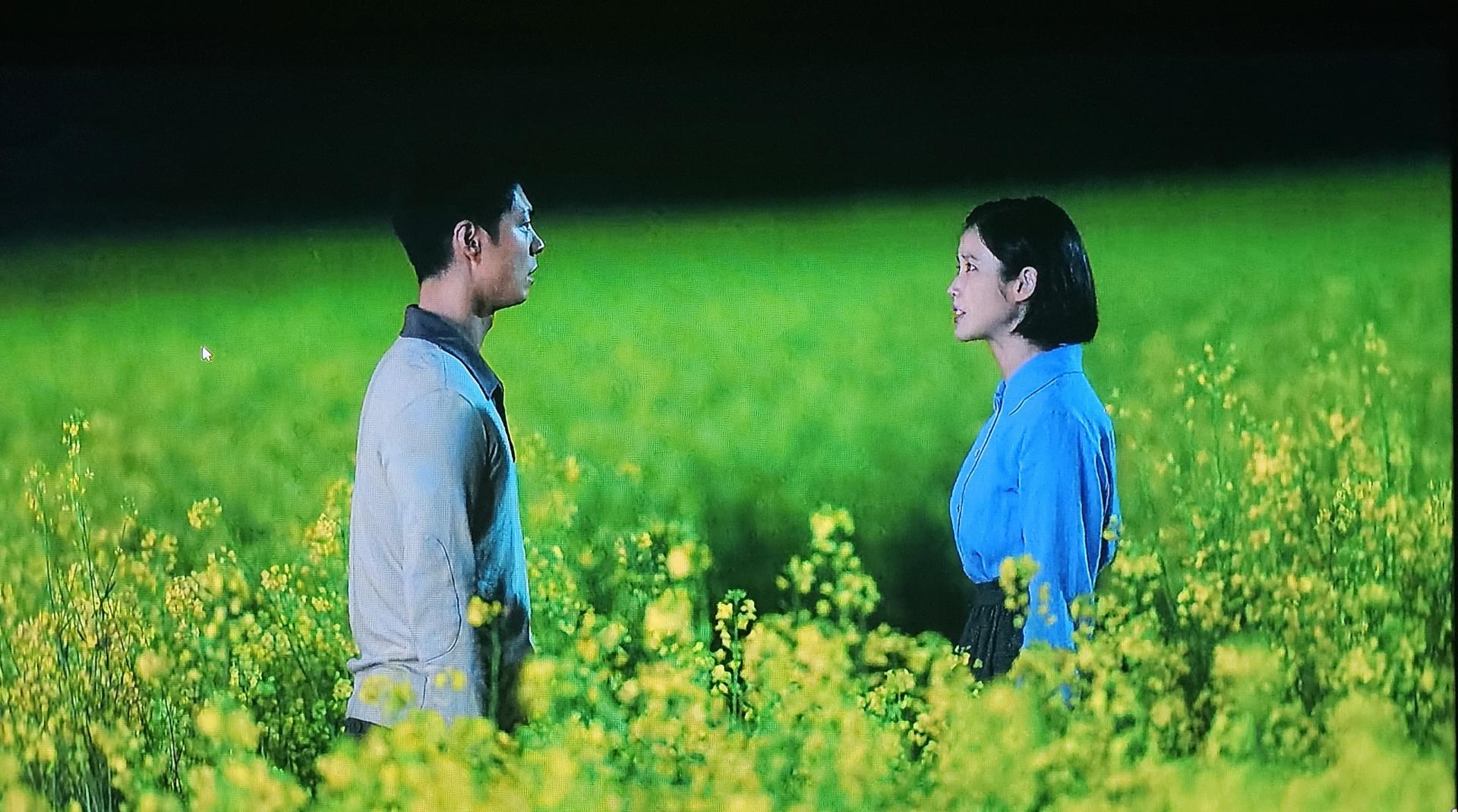 [4월~5월 축제]2025 고창 청보리밭 축제❘ 폭싹 속았수다 유채꽃밭, 연인 유채꽃밭, 도깨비 메밀꽃밭 촬영지, 일정, 기간, 주차(4/5일 방문 후기)