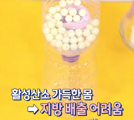 모로실 효능