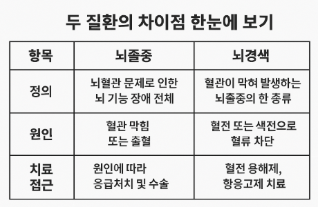 뇌졸중 vs 뇌경색: 헷갈리는 용어부터 뚜렷한 차이까지 정리