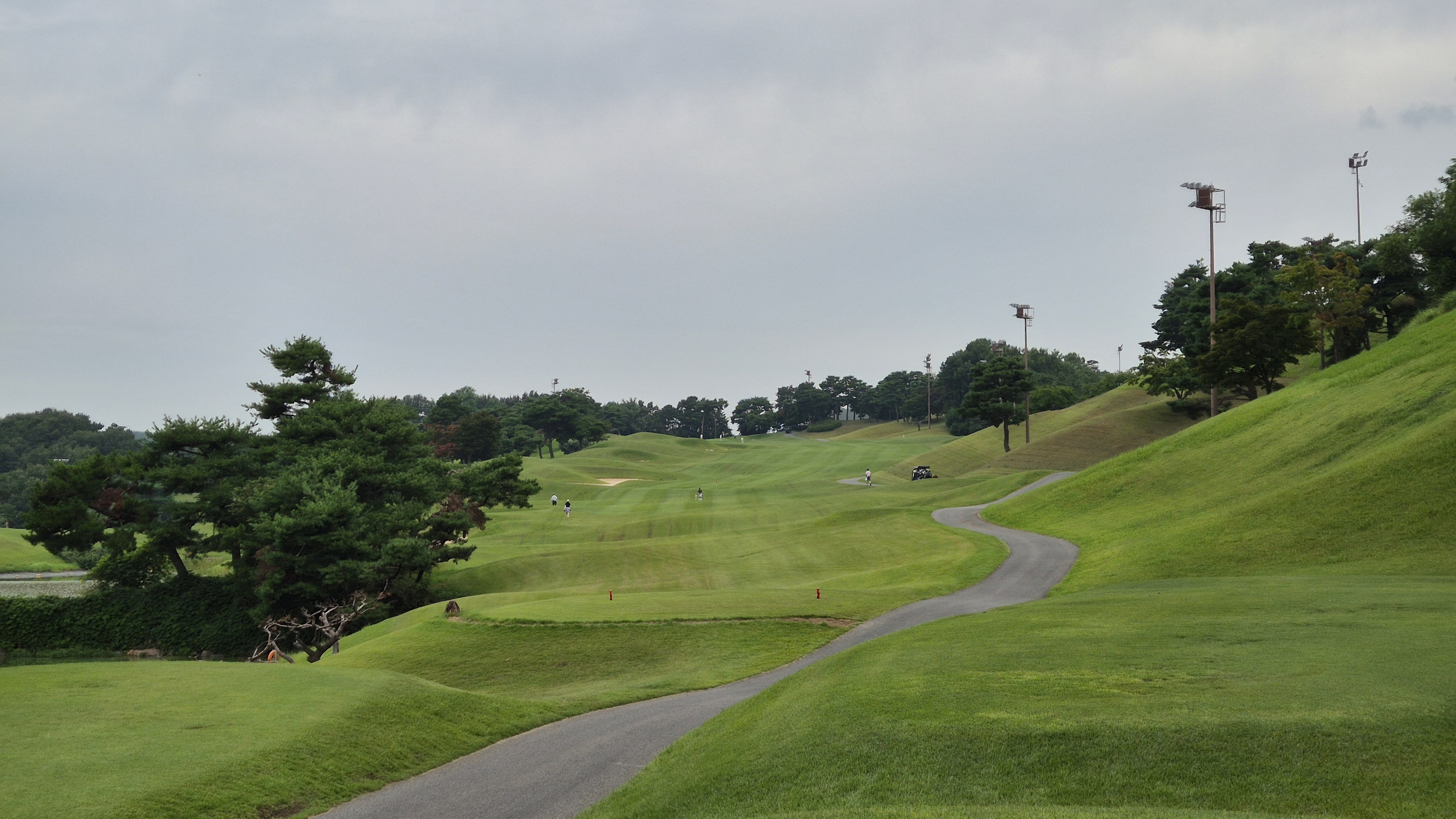 한림용인cc 다이아몬드-사파이어 코스 사진 및 공략 정보