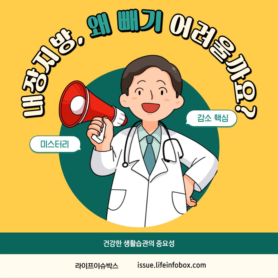 내장지방 감소에 관한 궁금증을 해결해드립니다.