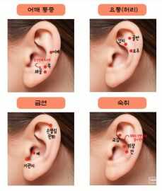 귀 혈자리 위치 지압법