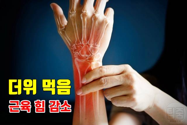 더위 먹은 증상 힘빠짐 더위 먹었을때 대처 회복기간