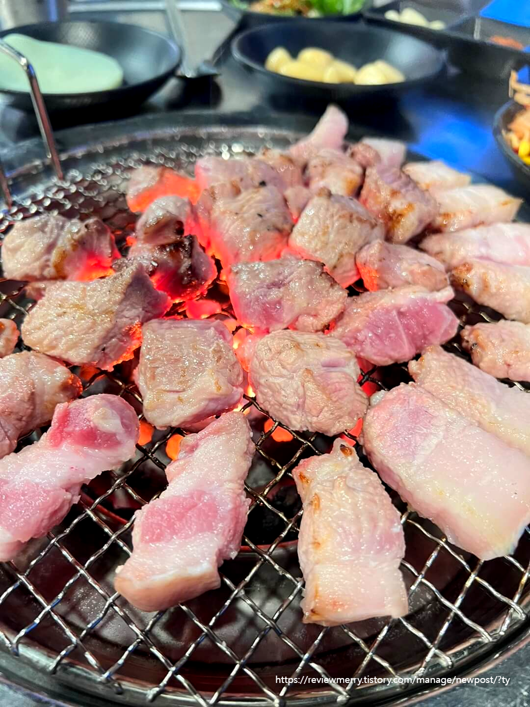 고기사진