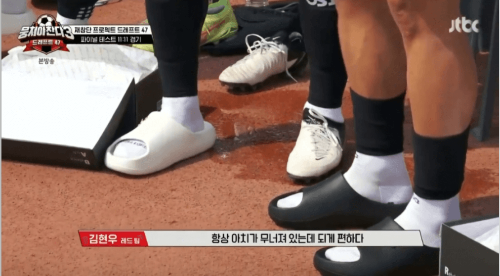 바크 슬리퍼